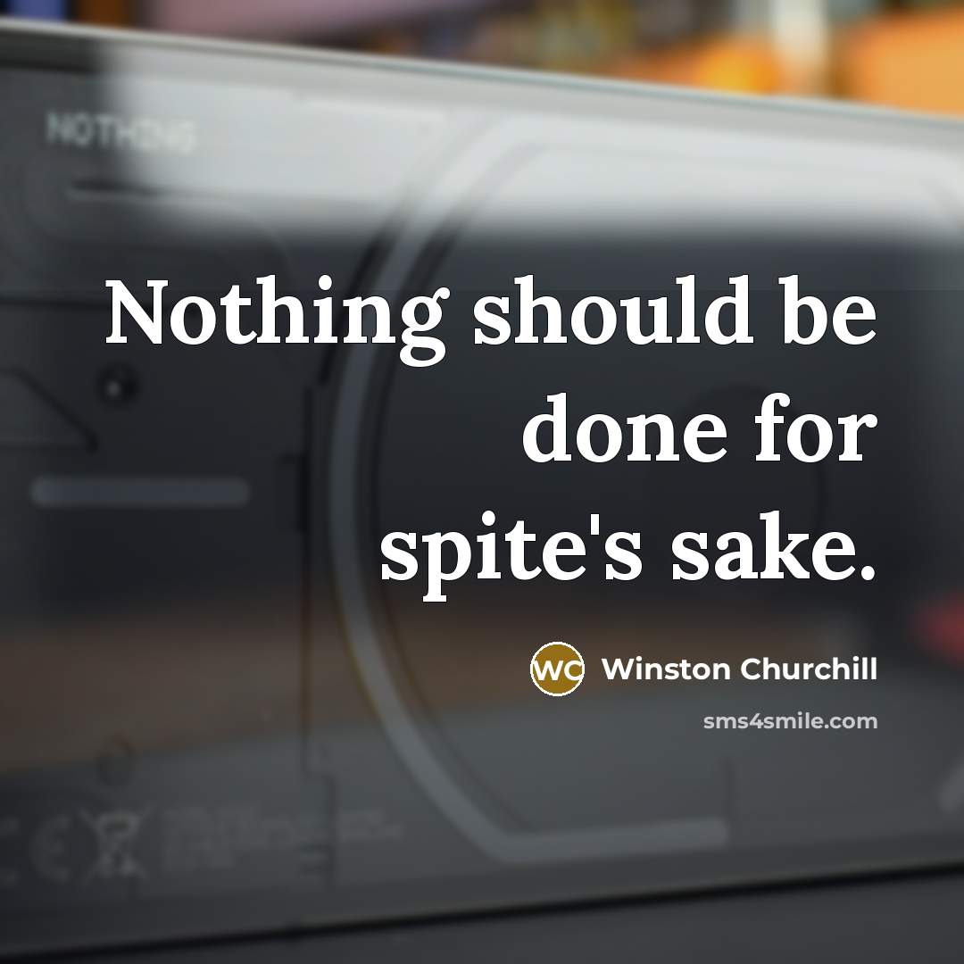 “Nothing should be done for spite's sake.” quote by Winston Churchill