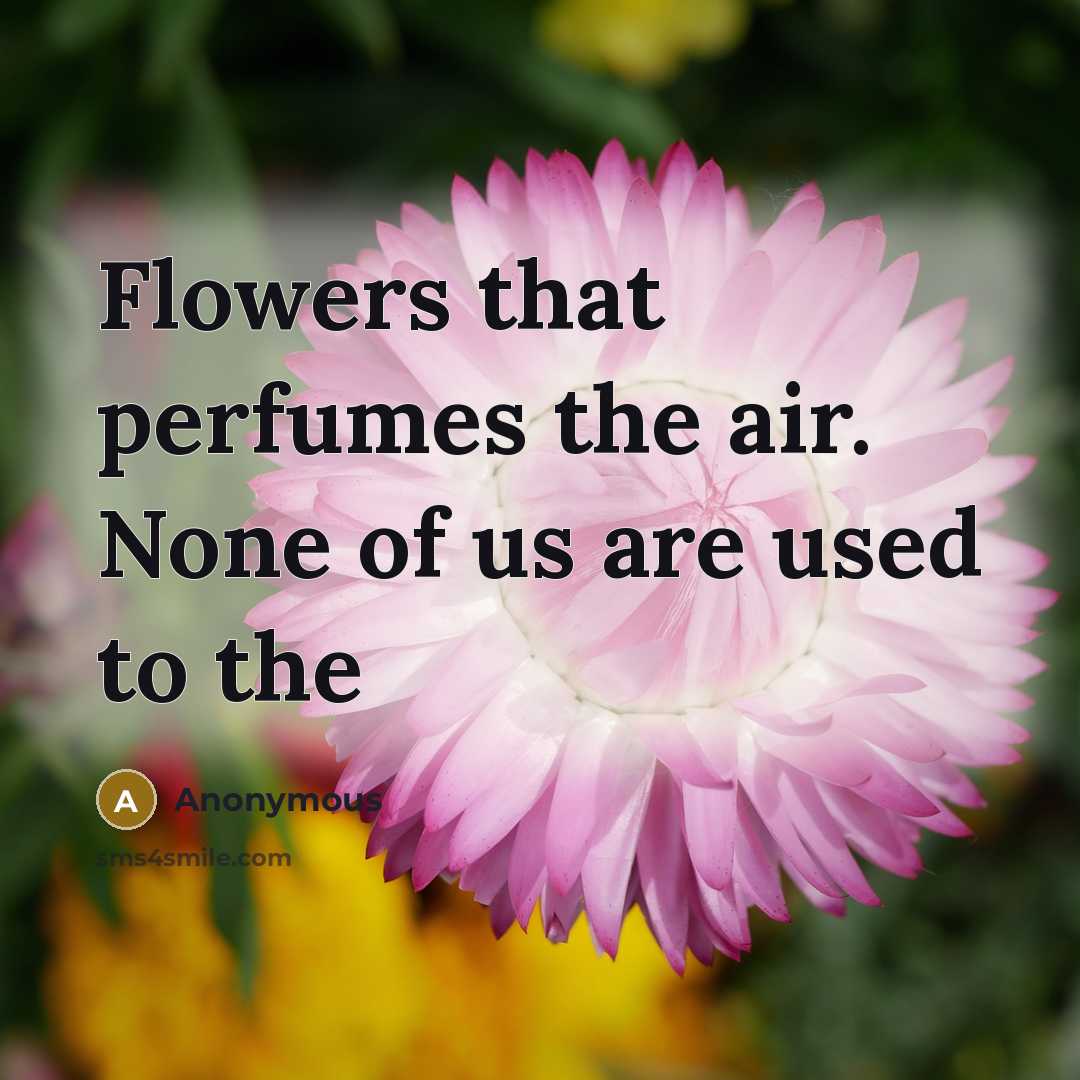 “Flowers that perfumes the air. None of us are used to the” quote by Anonymous