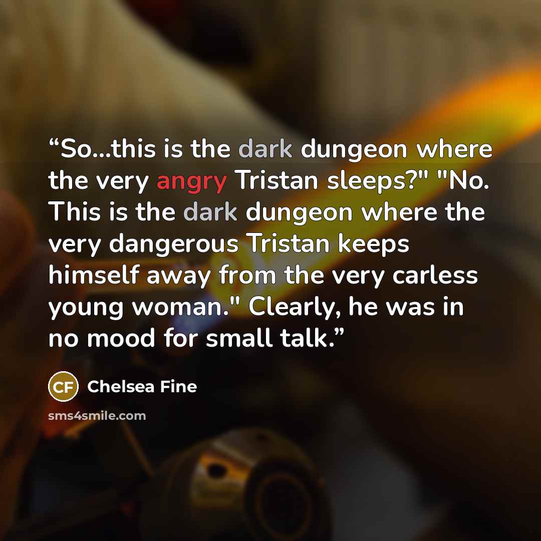 “So...this is the dark dungeon where the very angry Tristan sleeps?" "No. This is the dark dungeon where the very dangerous Tristan keeps himself away from the very carless young woman." Clearly, he was in no mood for small talk.” quote by Chelsea Fine