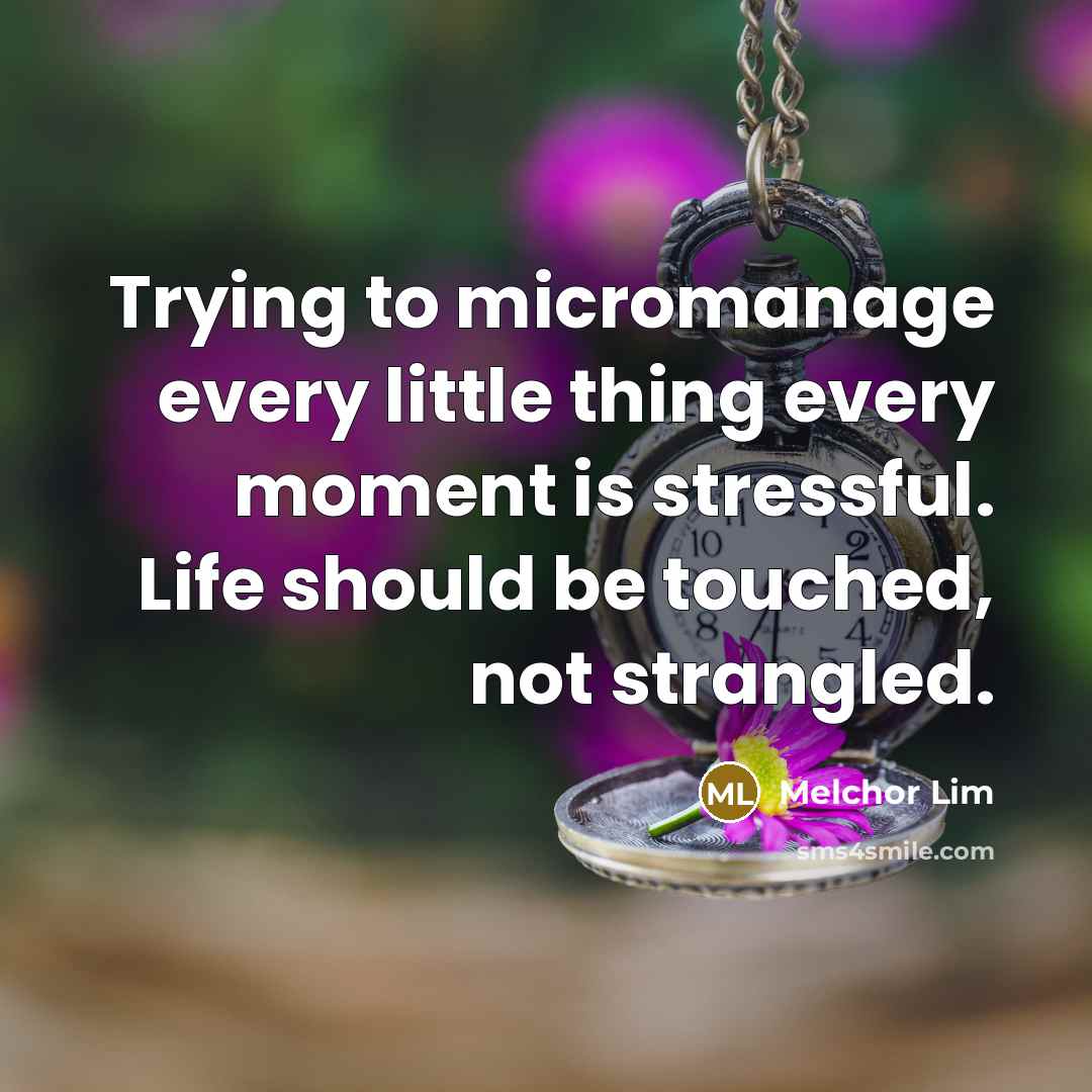 “Trying to micromanage every little thing every moment is stressful. Life should be touched, not strangled.” quote by Melchor Lim