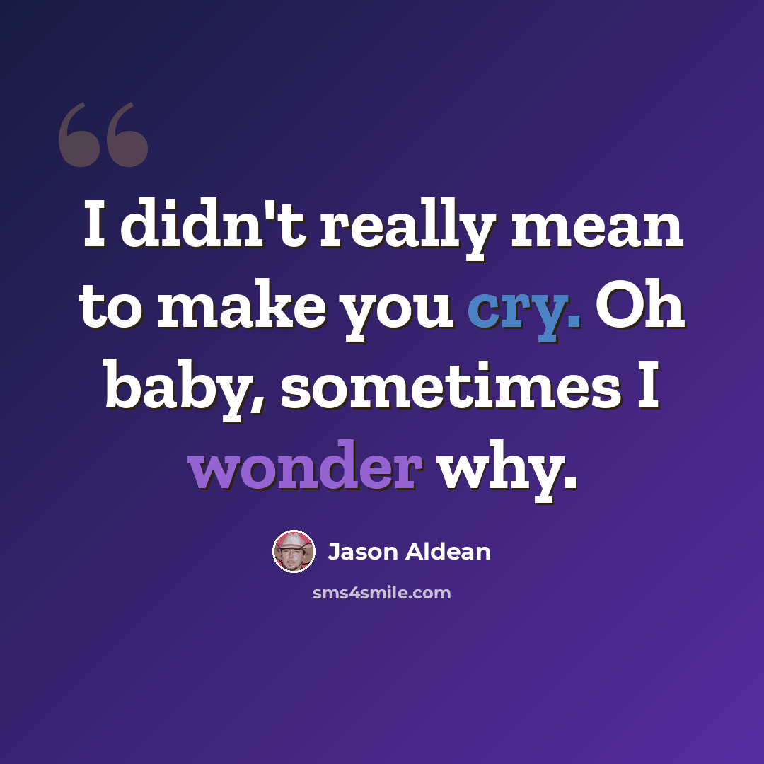 “I didn't really mean to make you cry. Oh baby, sometimes I wonder why.” quote by Jason Aldean