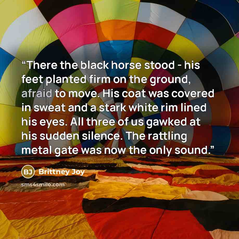 “There the black horse stood - his feet planted firm on the ground, afraid to move. His coat was covered in sweat and a stark white rim lined his eyes. All three of us gawked at his sudden silence. The rattling metal gate was now the only sound.” quote by Brittney Joy