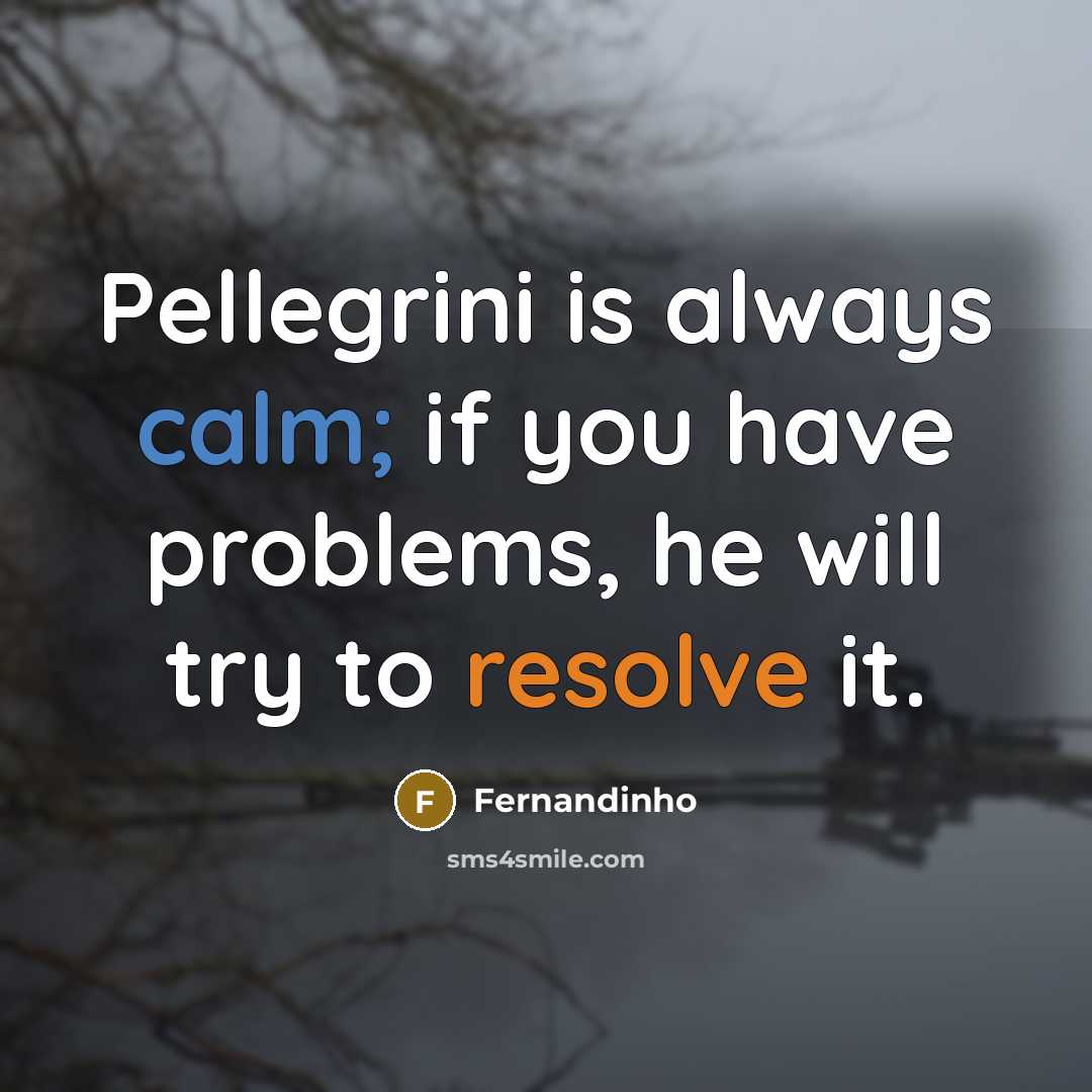 “Pellegrini is always calm; if you have problems, he will try to resolve it.” quote by Fernandinho