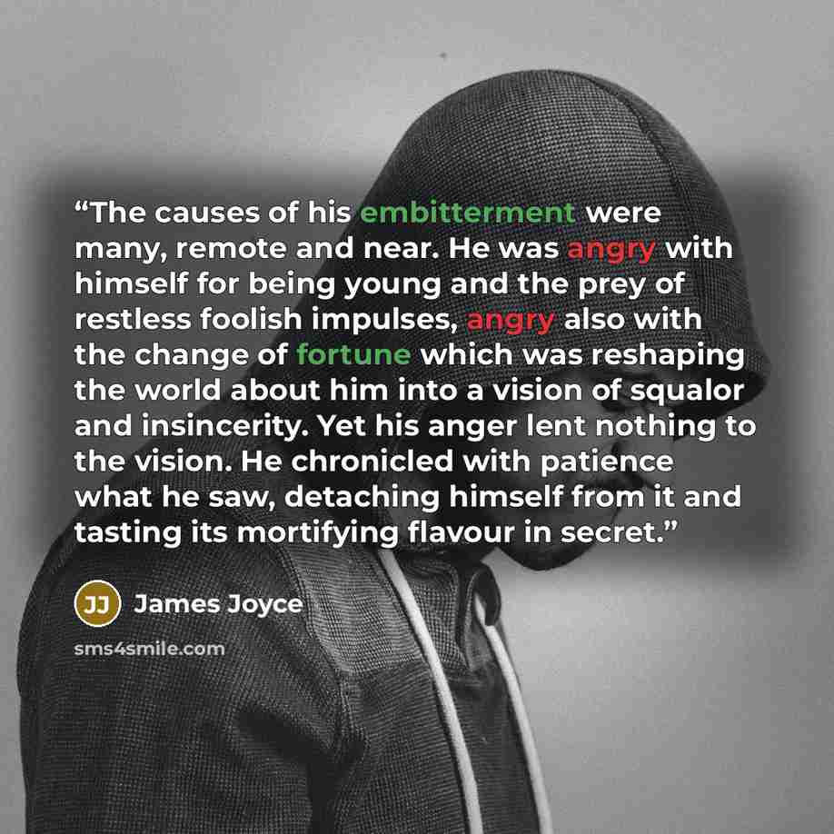 “The causes of his embitterment were many, remote and near. He was angry with himself for being young and the prey of restless foolish impulses, angry also with the change of fortune which was reshaping the world about him into a vision of squalor and insincerity. Yet his anger lent nothing to the…” quote by James Joyce
