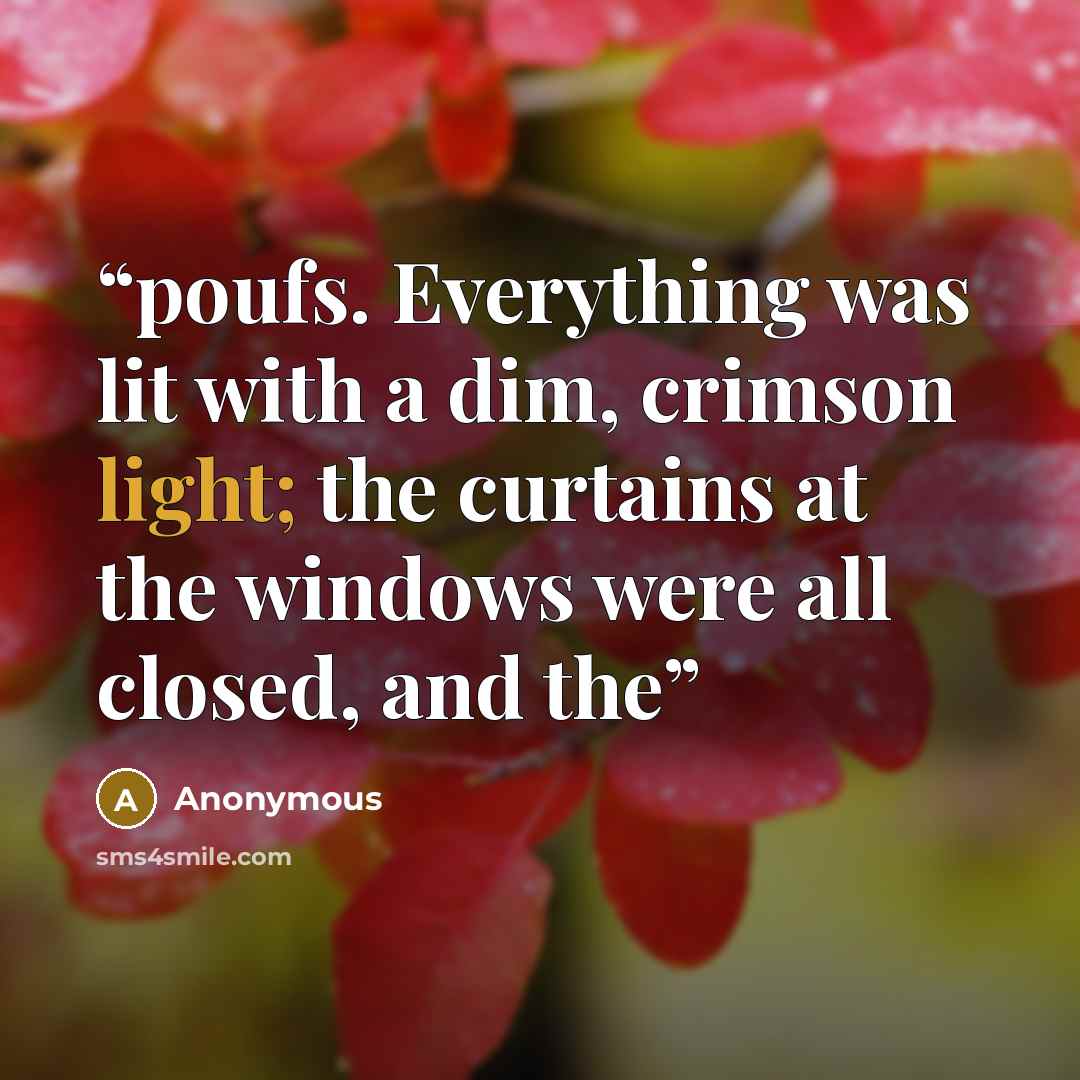 “poufs. Everything was lit with a dim, crimson light; the curtains at the windows were all closed, and the” quote by Anonymous