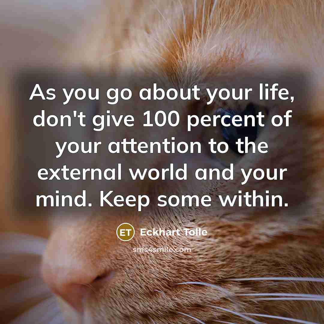 “As you go about your life, don't give 100 percent of your attention to the external world and your mind. Keep some within.” quote by Eckhart Tolle
