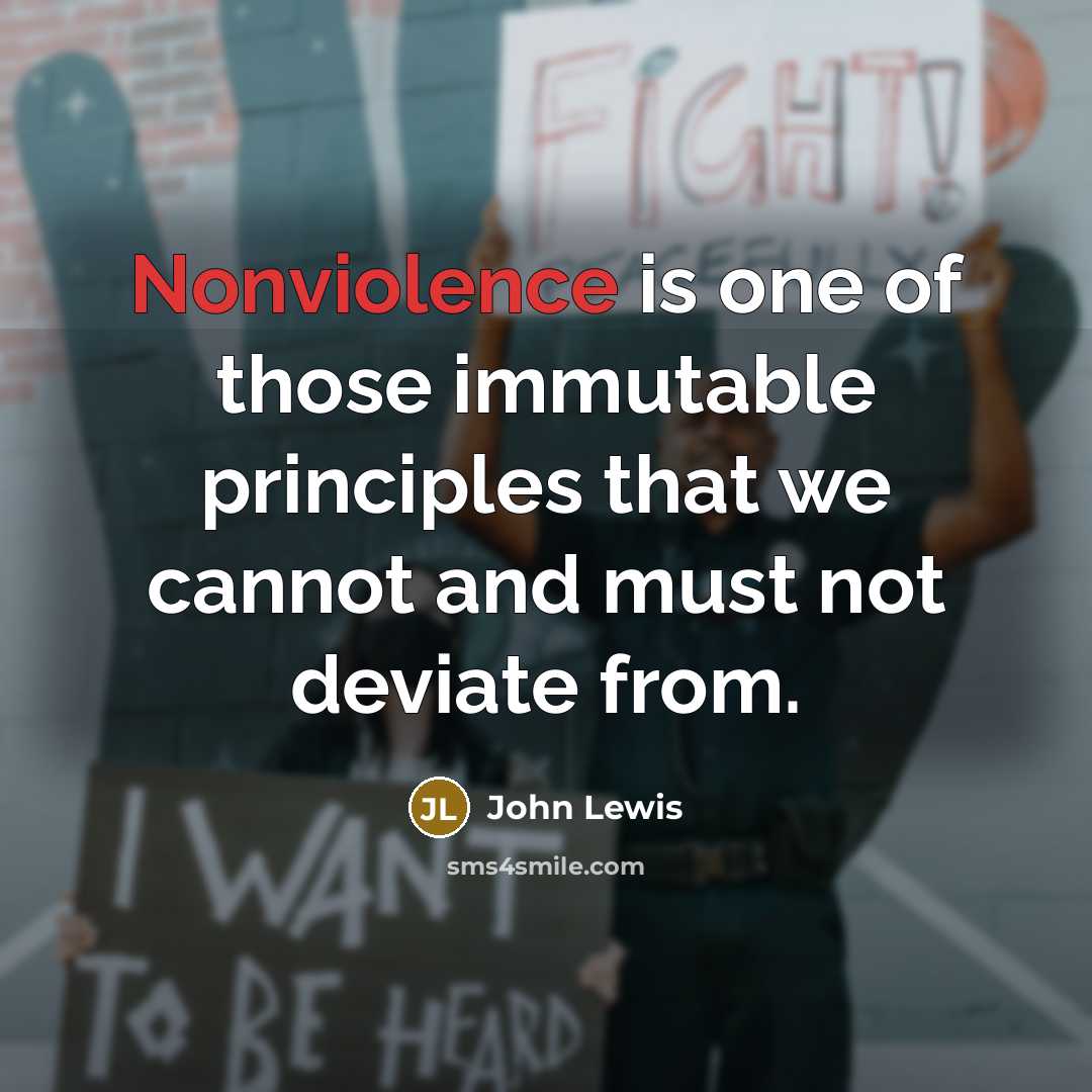 “Nonviolence is one of those immutable principles that we cannot and must not deviate from.” quote by John Lewis