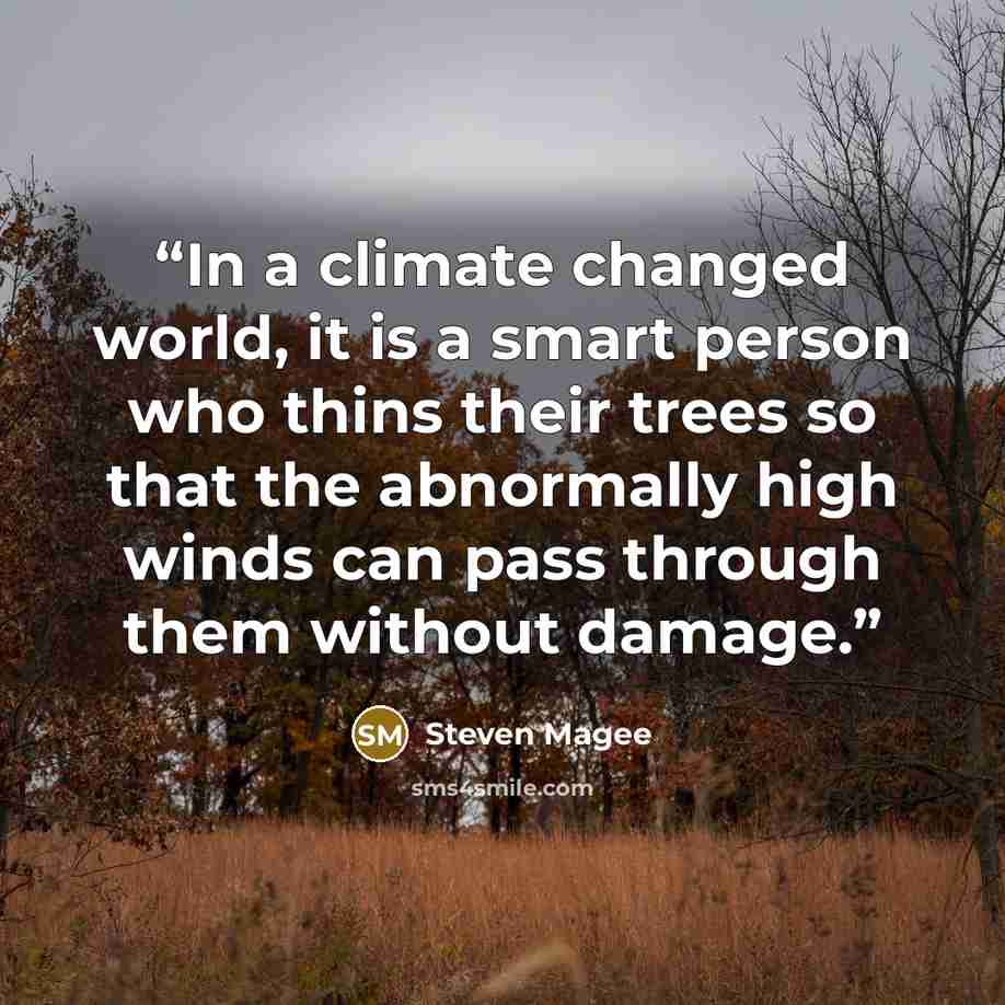 “In a climate changed world, it is a smart person who thins their trees so that the abnormally high winds can pass through them without damage.” quote by Steven Magee