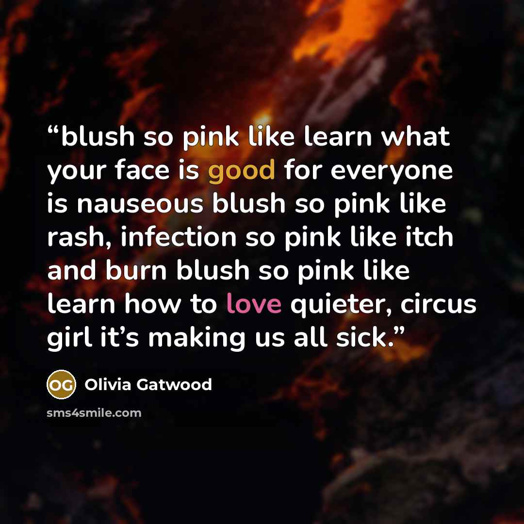 “blush so pink like learn what your face is good for everyone is nauseous blush so pink like rash, infection so pink like itch and burn blush so pink like learn how to love quieter, circus girl it’s making us all sick.” quote by Olivia Gatwood