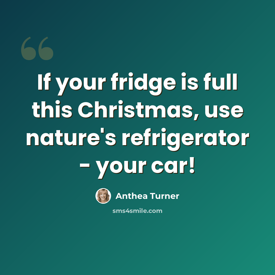 “If your fridge is full this Christmas, use nature's refrigerator - your car!” quote by Anthea Turner