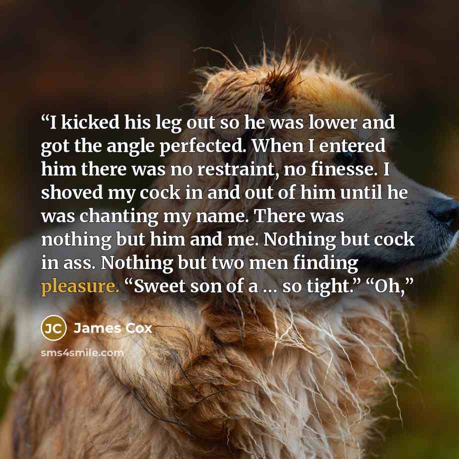 “I kicked his leg out so he was lower and got the angle perfected. When I entered him there was no restraint, no finesse. I shoved my cock in and out of him until he was chanting my name. There was nothing but him and me. Nothing but cock in ass. Nothing but two men finding pleasure. “Sweet son of…” quote by James Cox