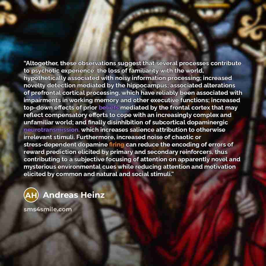 “Altogether, these observations suggest that several processes contribute to psychotic experience: the loss of familiarity with the world, hypothetically associated with noisy information processing; increased novelty detection mediated by the hippocampus; associated alterations of prefrontal…” quote by Andreas Heinz