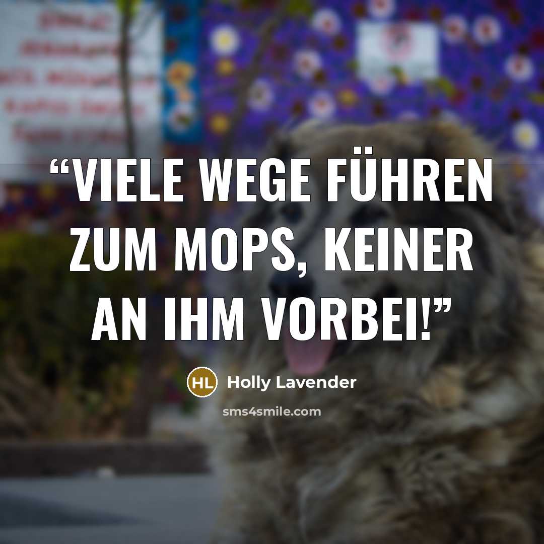 “Viele Wege führen zum Mops, keiner an ihm vorbei!” quote by Holly Lavender