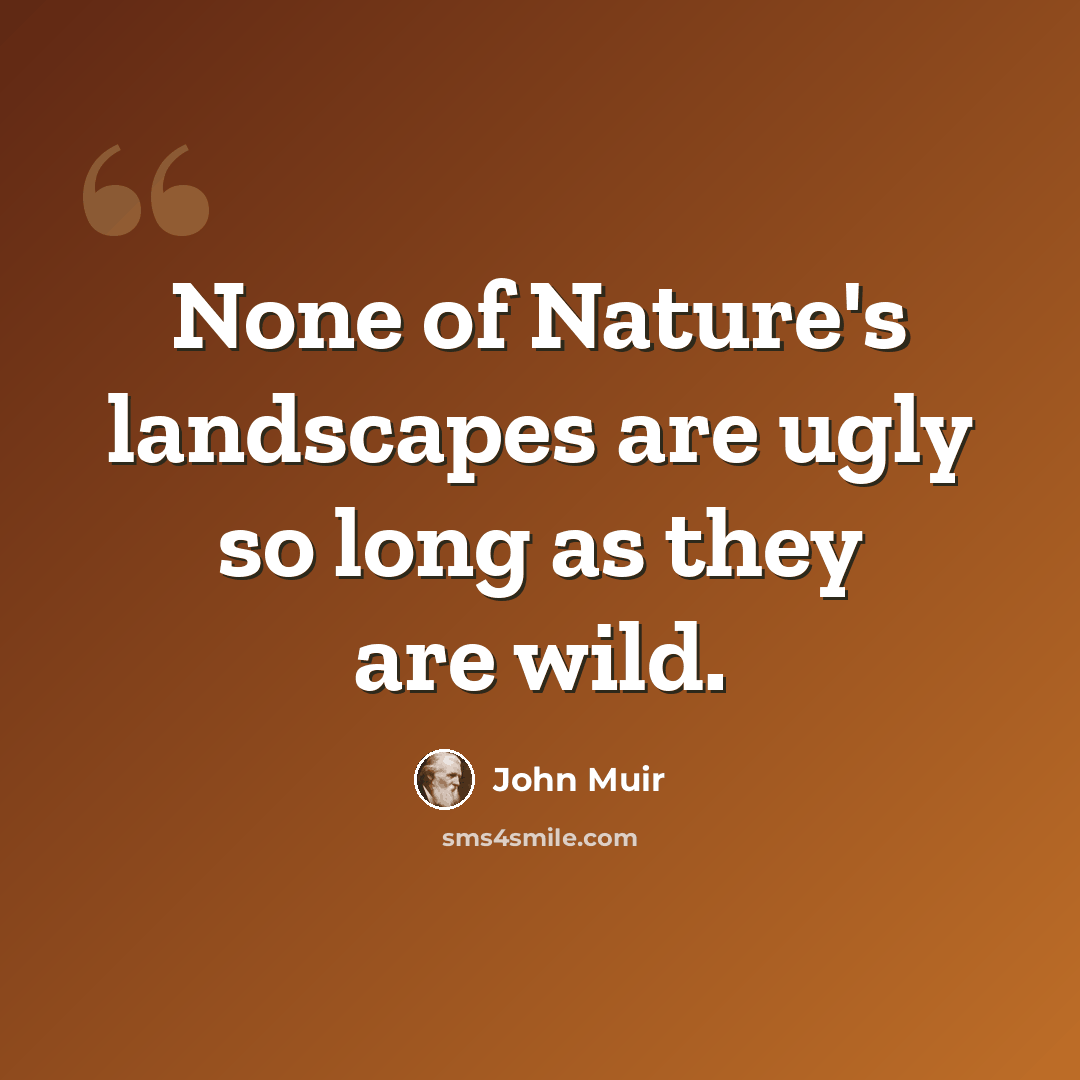 “None of Nature's landscapes are ugly so long as they are wild.” quote by John Muir