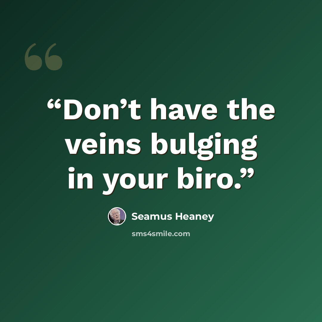 “Don’t have the veins bulging in your biro.” quote by Seamus Heaney