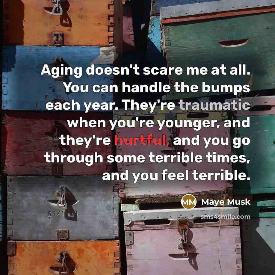 “Aging doesn't scare me at all. You can handle the bumps each year. They're traumatic when you're younger, and they're hurtful, and you go through some terrible times, and you feel terrible.” quote by Maye Musk