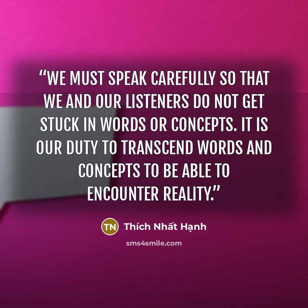 “we must speak carefully so that we and our listeners do not get stuck in words or concepts. It is our duty to transcend words and concepts to be able to encounter reality.” quote by Thích Nhất Hạnh