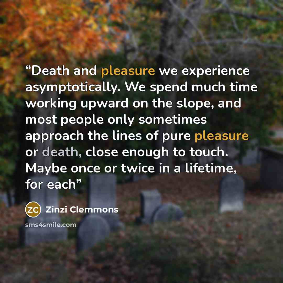 “Death and pleasure we experience asymptotically. We spend much time working upward on the slope, and most people only sometimes approach the lines of pure pleasure or death, close enough to touch. Maybe once or twice in a lifetime, for each” quote by Zinzi Clemmons
