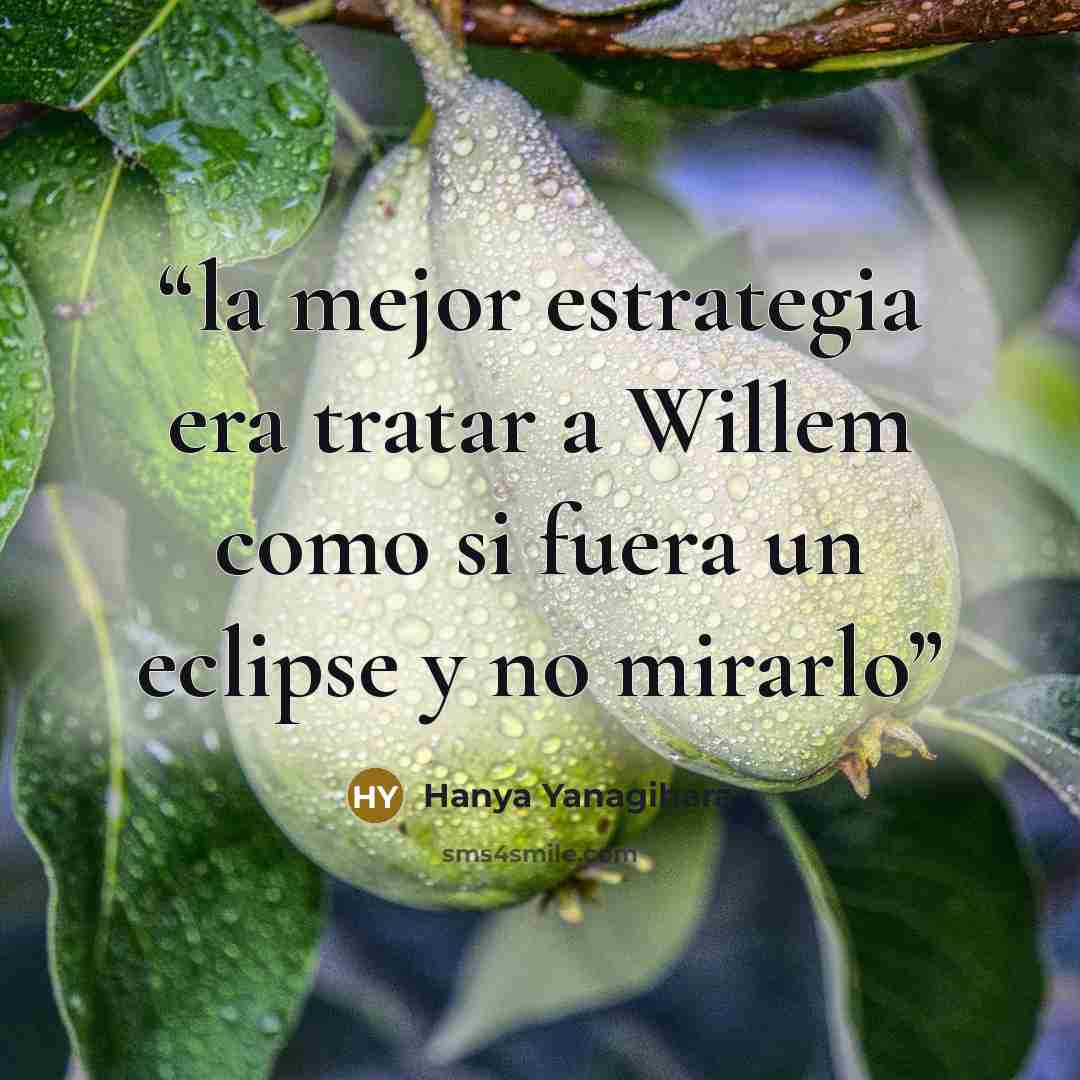 “la mejor estrategia era tratar a Willem como si fuera un eclipse y no mirarlo” quote by Hanya Yanagihara