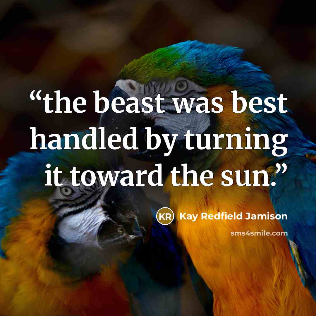 “the beast was best handled by turning it toward the sun.” quote by Kay Redfield Jamison
