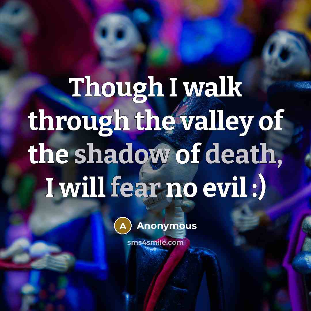 “Though I walk through the valley of the shadow of death, I will fear no evil :)” quote by Anonymous