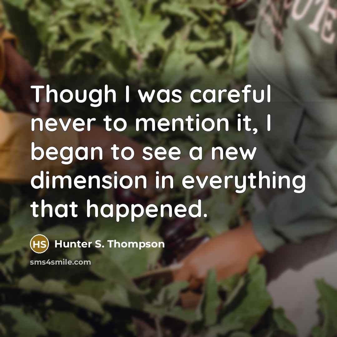 “Though I was careful never to mention it, I began to see a new dimension in everything that happened.” quote by Hunter S. Thompson