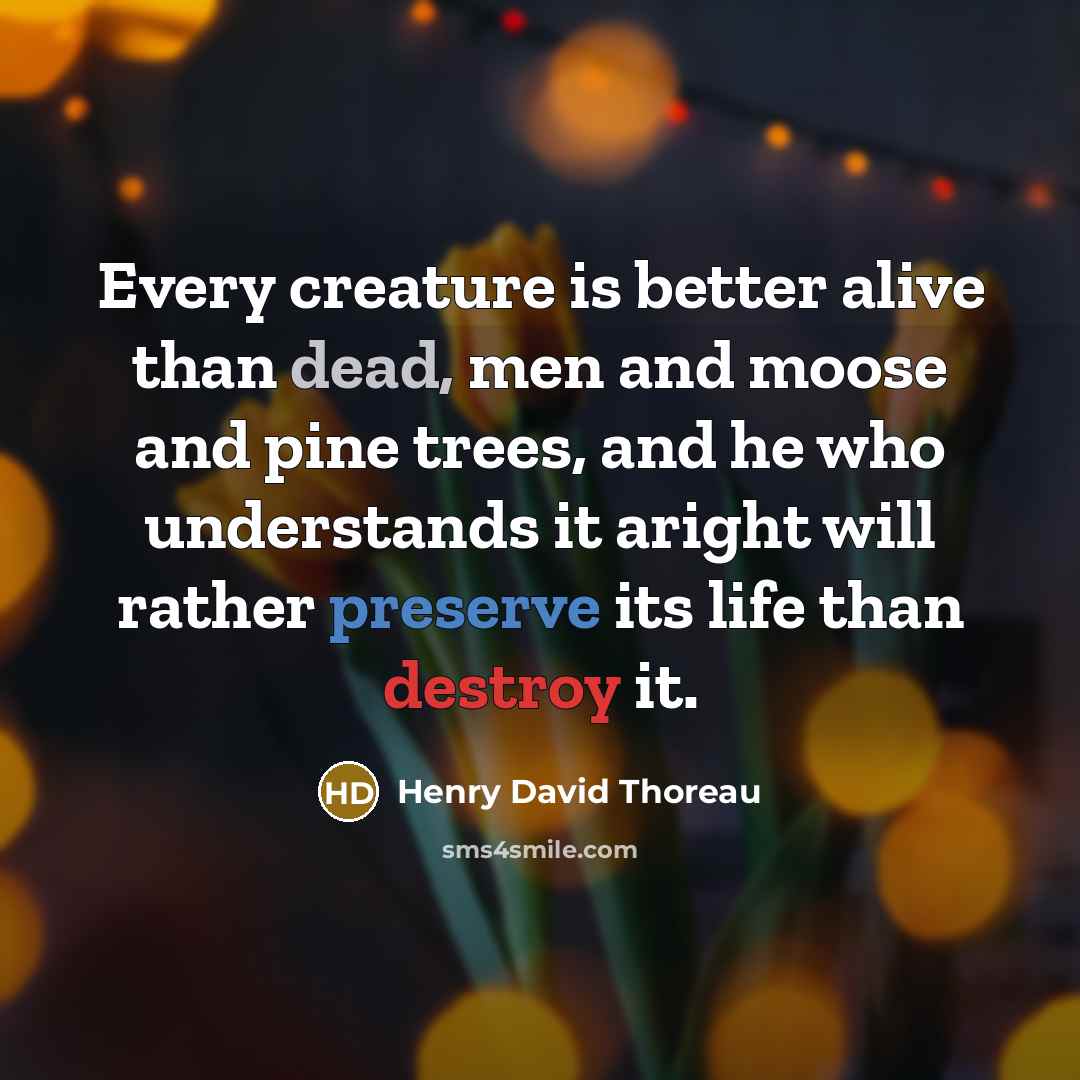 “Every creature is better alive than dead, men and moose and pine trees, and he who understands it aright will rather preserve its life than destroy it.” quote by Henry David Thoreau