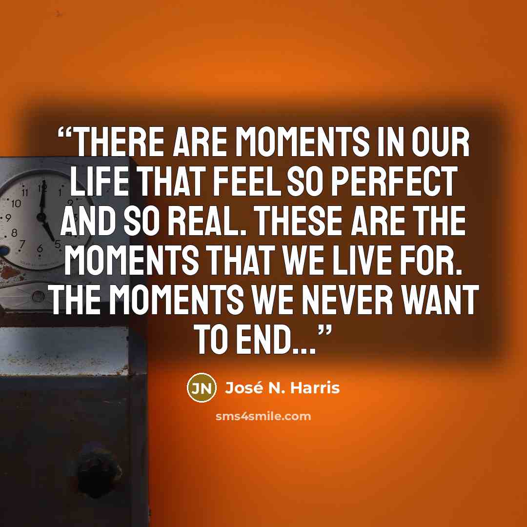 “There are moments in our life that feel so perfect and so real. These are the moments that we live for. The moments we never want to end...” quote by José N. Harris