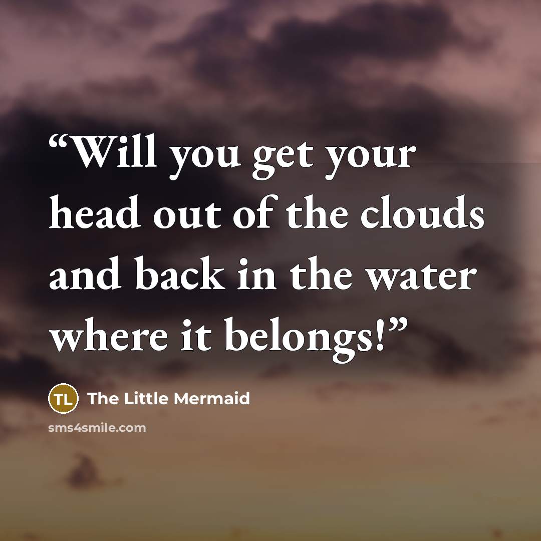 “Will you get your head out of the clouds and back in the water where it belongs!” quote by The Little Mermaid