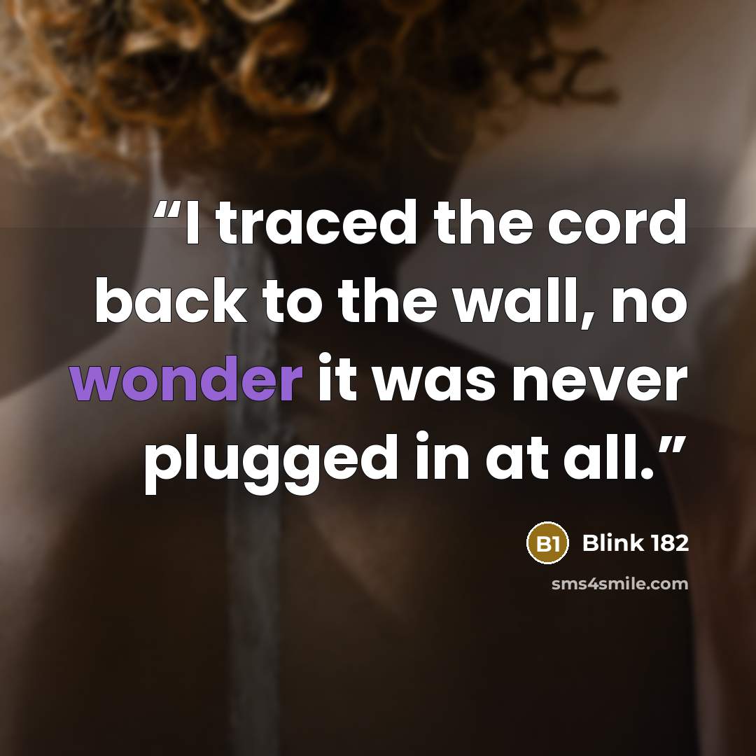“I traced the cord back to the wall, no wonder it was never plugged in at all.” quote by Blink 182