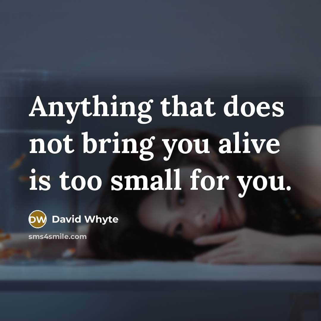 “Anything that does not bring you alive is too small for you.” quote by David Whyte