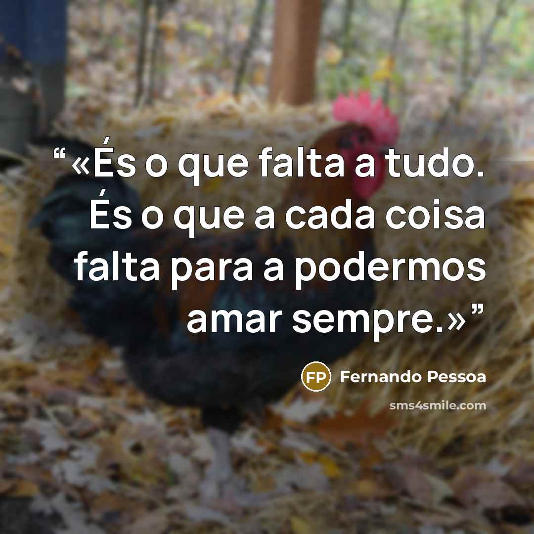 “És o que falta a tudo. És o que a cada coisa falta para a podermos amar sempre.” quote by Fernando Pessoa