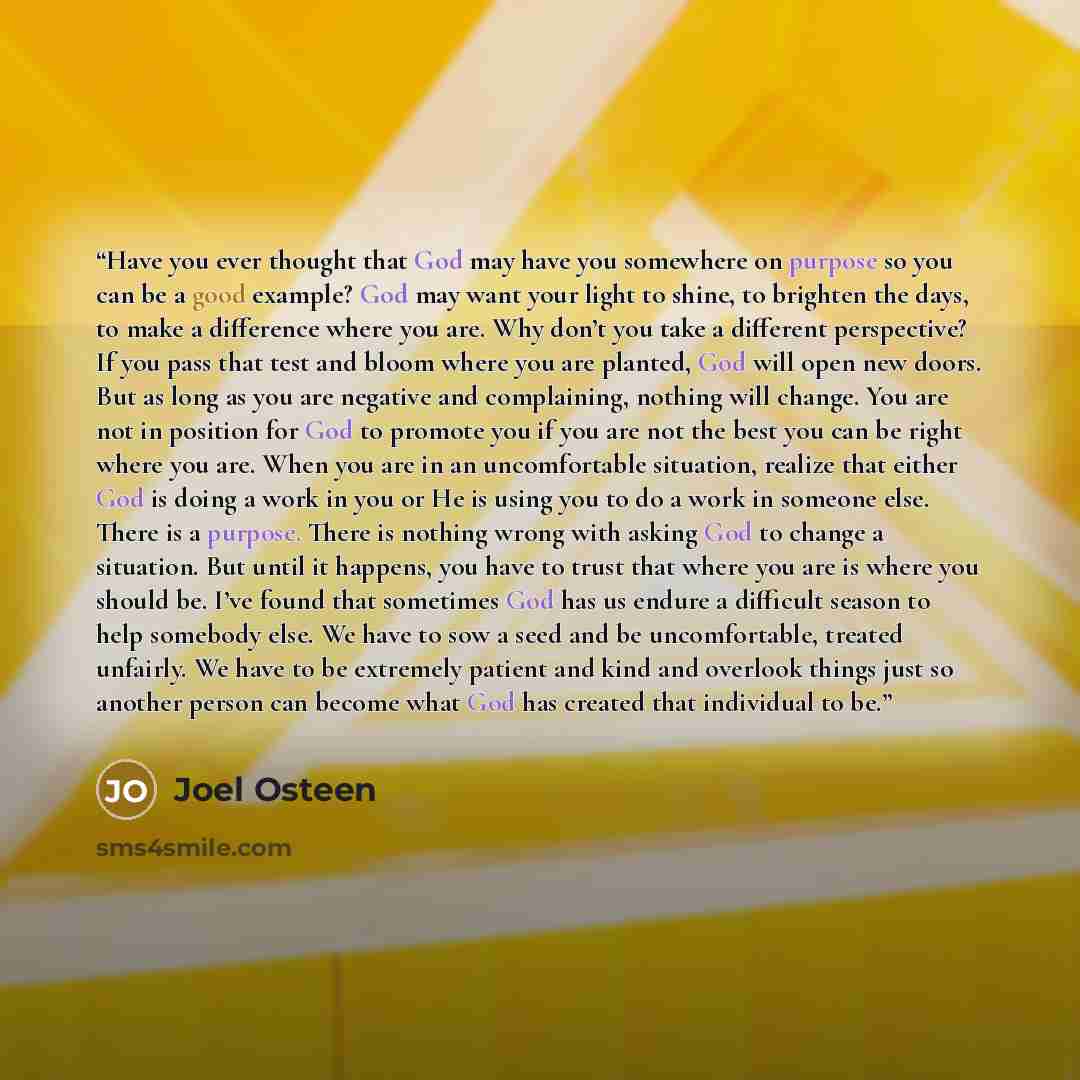 “Have you ever thought that God may have you somewhere on purpose so you can be a good example? God may want your light to shine, to brighten the days, to make a difference where you are. Why don’t you take a different perspective? If you pass that test and bloom where you are planted, God will…” quote by Joel Osteen