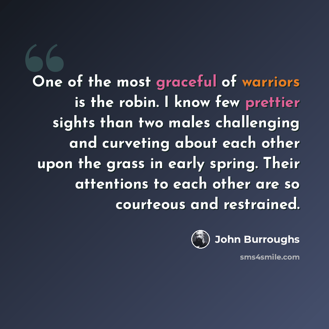 “One of the most graceful of warriors is the robin. I know few prettier sights than two males challenging and curveting about each other upon the grass in early spring. Their attentions to each other are so courteous and restrained.” quote by John Burroughs