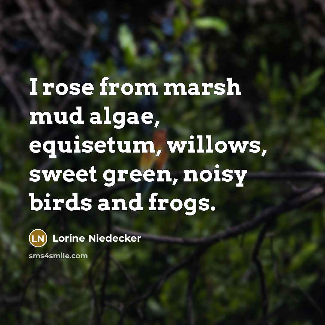 “I rose from marsh mud algae, equisetum, willows, sweet green, noisy birds and frogs.” quote by Lorine Niedecker