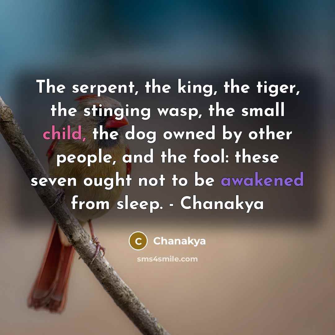 “The serpent, the king, the tiger, the stinging wasp, the small child, the dog owned by other people, and the fool: these seven ought not to be awakened from sleep. - Chanakya” quote by Chanakya