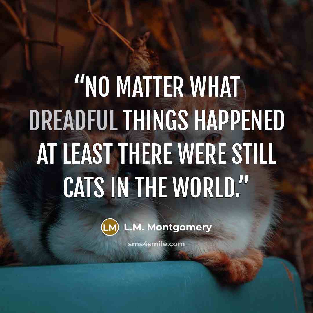 “No matter what dreadful things happened at least there were still cats in the world.” quote by L.M. Montgomery