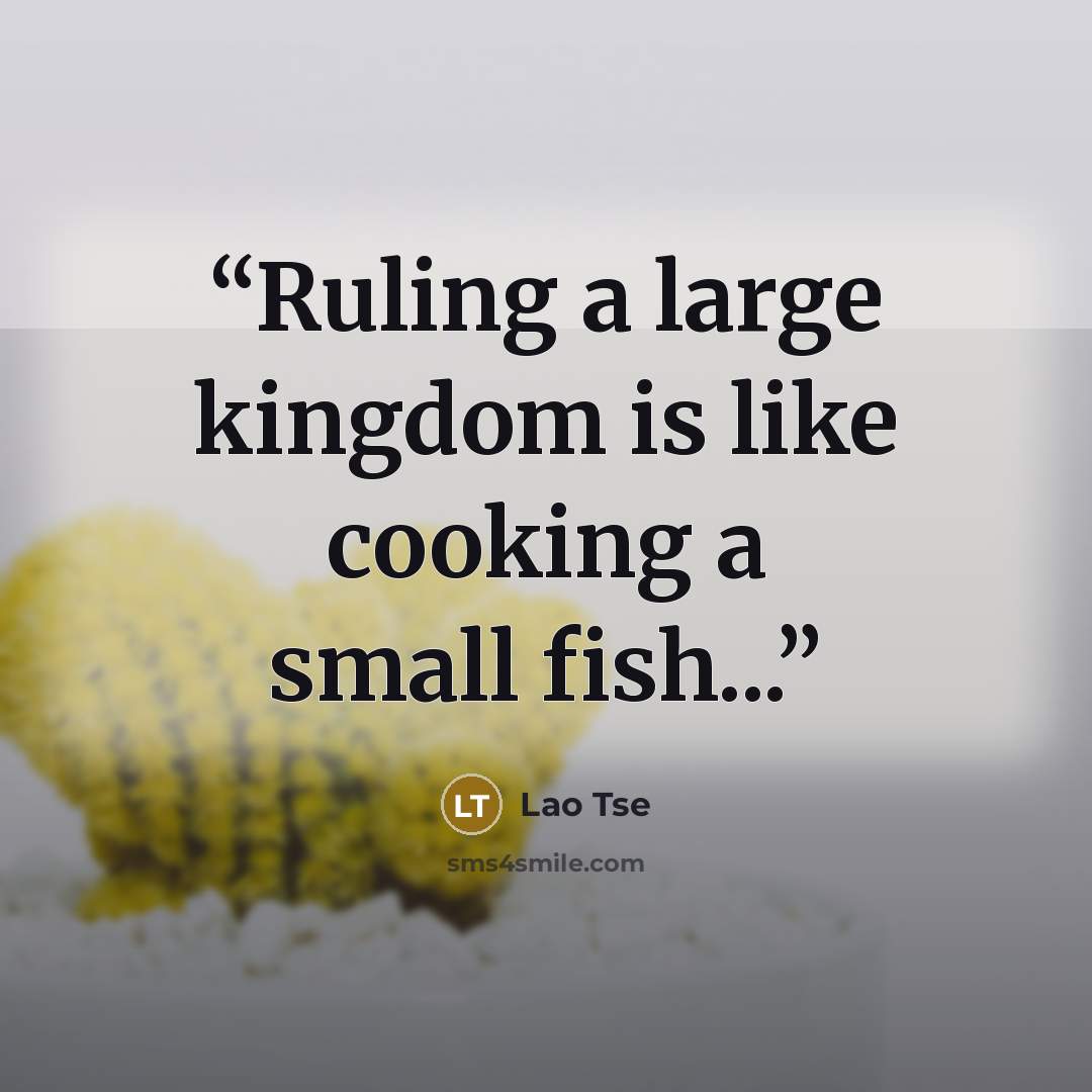 “Ruling a large kingdom is like cooking a small fish...” quote by Lao Tse