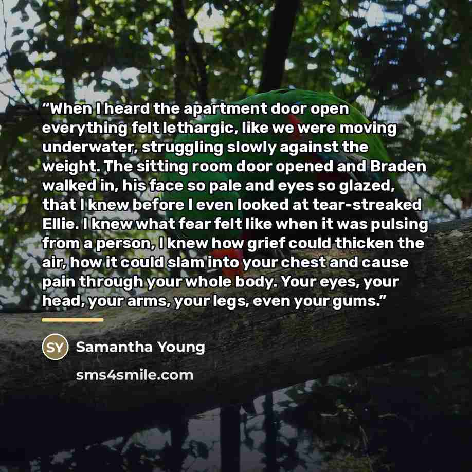 “When I heard the apartment door open everything felt lethargic, like we were moving underwater, struggling slowly against the weight. The sitting room door opened and Braden walked in, his face so pale and eyes so glazed, that I knew before I even looked at tear-streaked Ellie. I knew what fear…” quote by Samantha Young