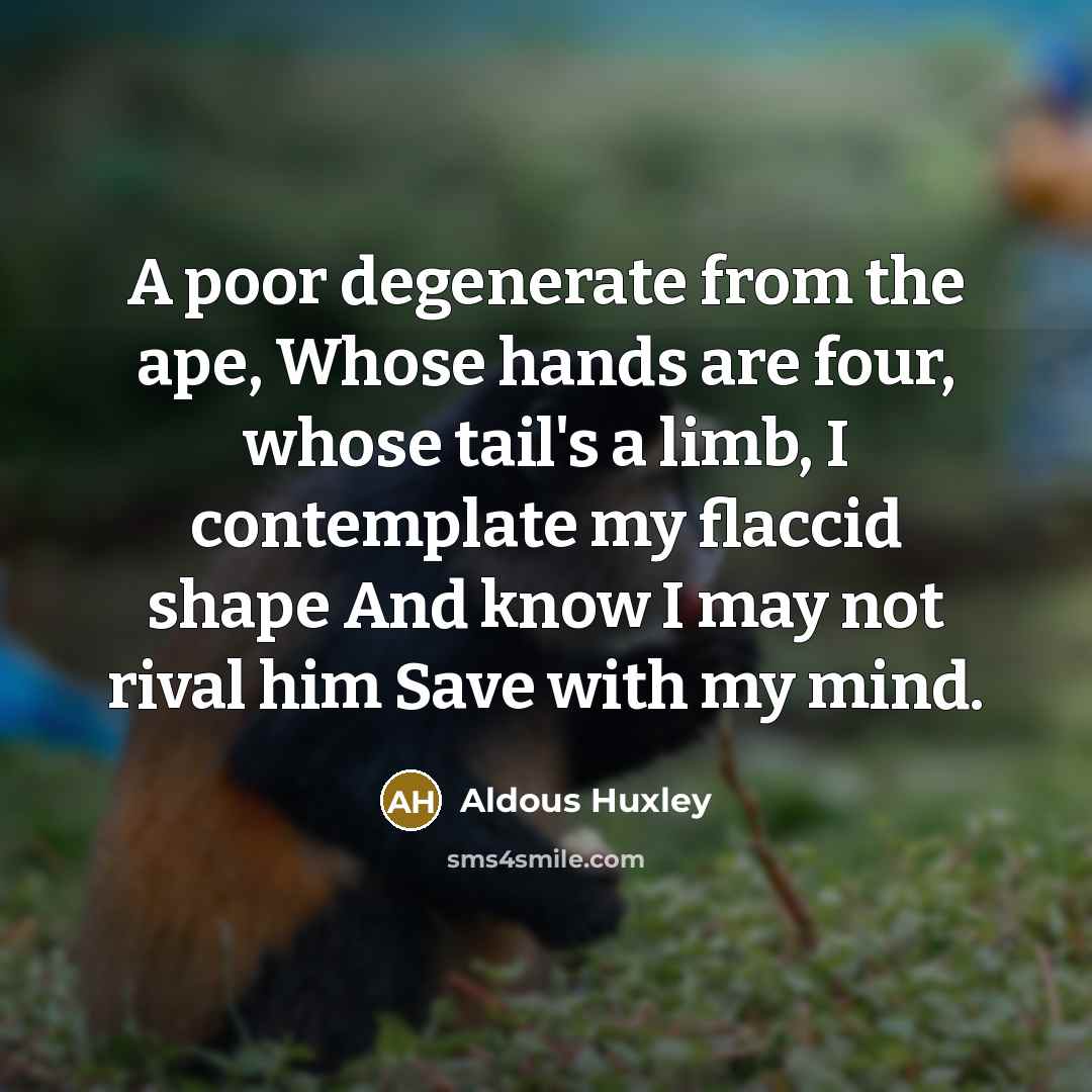 “A poor degenerate from the ape, Whose hands are four, whose tail's a limb, I contemplate my flaccid shape And know I may not rival him Save with my mind.” quote by Aldous Huxley