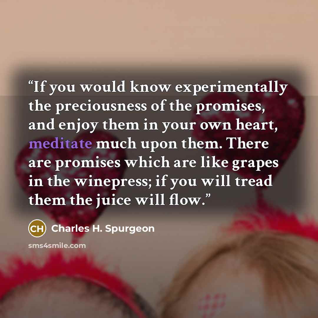 “If you would know experimentally the preciousness of the promises, and enjoy them in your own heart, meditate much upon them. There are promises which are like grapes in the winepress; if you will tread them the juice will flow.” quote by Charles H. Spurgeon