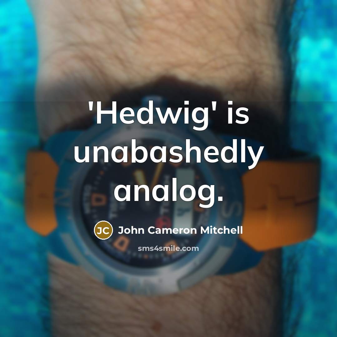 “'Hedwig' is unabashedly analog.” quote by John Cameron Mitchell