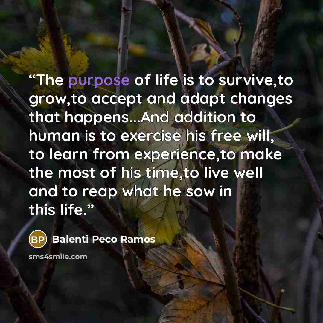 “The purpose of life is to survive,to grow,to accept and adapt changes that happens...And addition to human is to exercise his free will, to learn from experience,to make the most of his time,to live well and to reap what he sow in this life.” quote by Balenti Peco Ramos