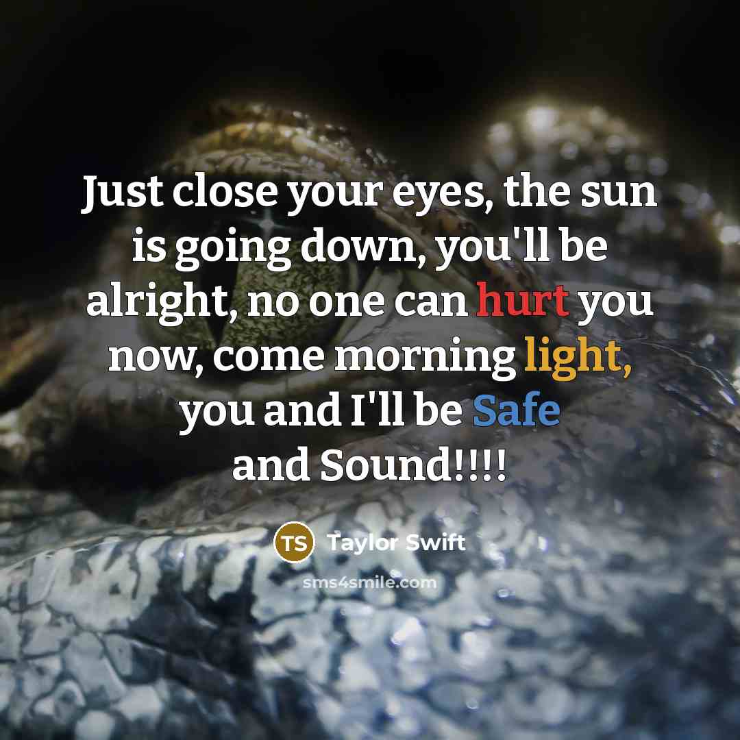 “Just close your eyes, the sun is going down, you'll be alright, no one can hurt you now, come morning light, you and I'll be Safe and Sound!!!!” quote by Taylor Swift