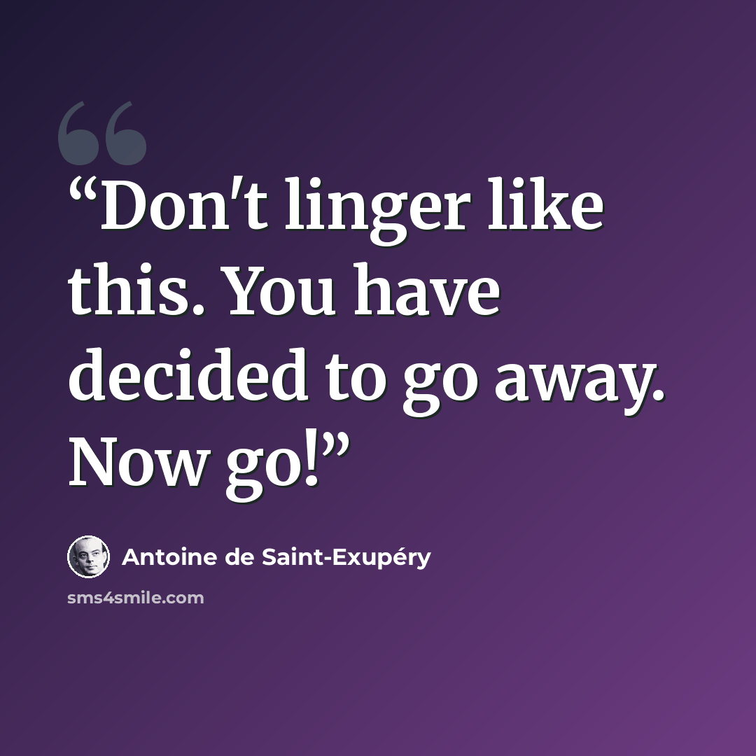 “Don't linger like this. You have decided to go away. Now go!” quote by Antoine de Saint-Exupéry