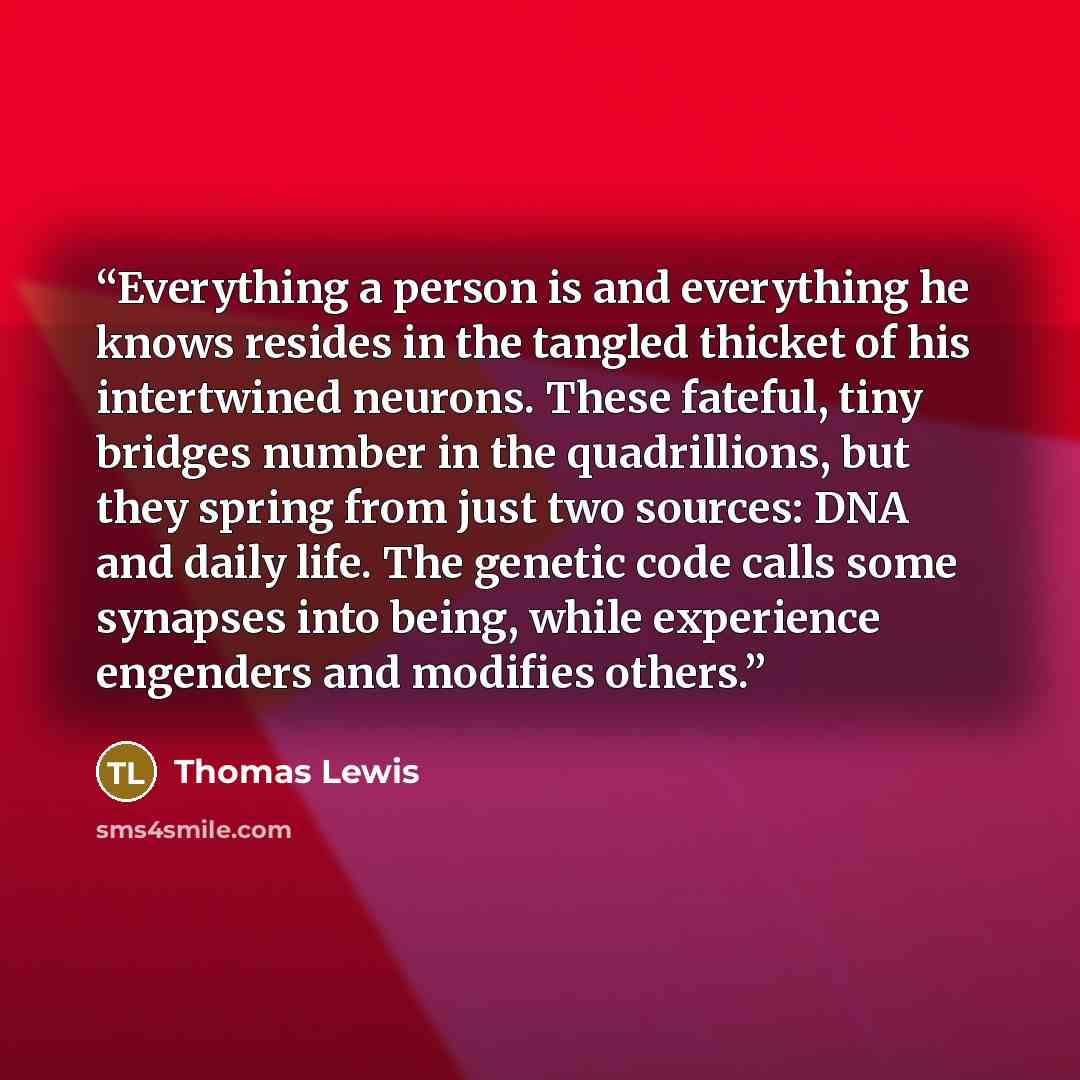 “Everything a person is and everything he knows resides in the tangled thicket of his intertwined neurons. These fateful, tiny bridges number in the quadrillions, but they spring from just two sources: DNA and daily life. The genetic code calls some synapses into being, while experience engenders…” quote by Thomas Lewis