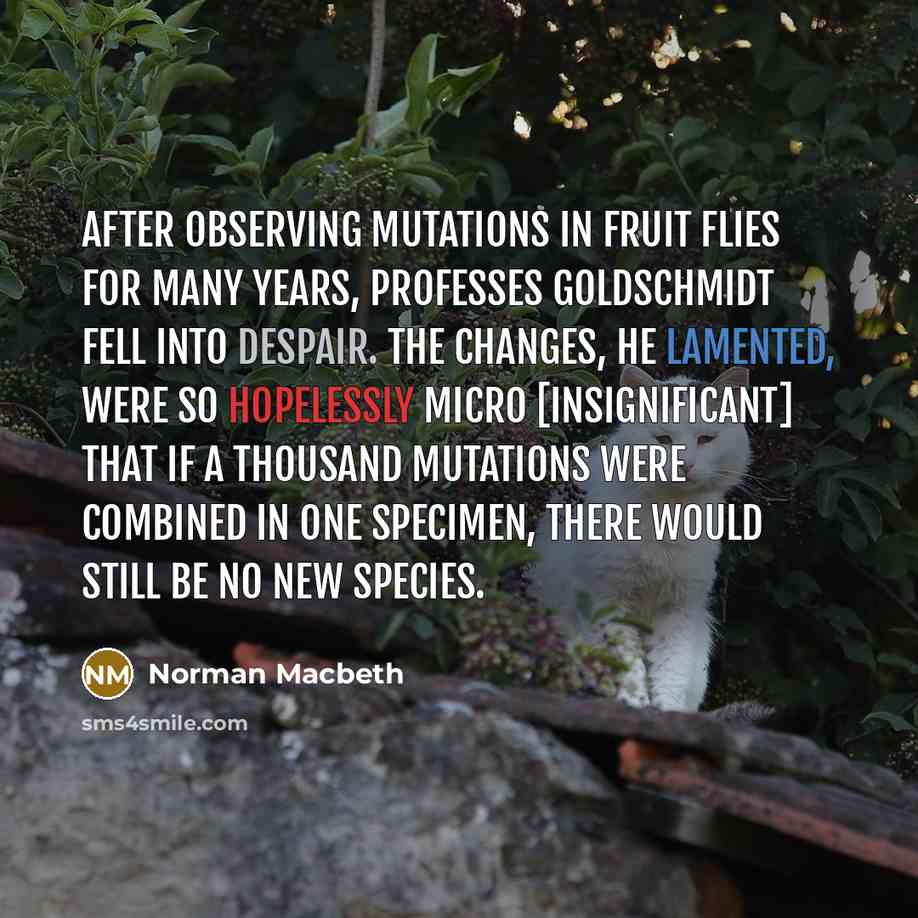 “After observing mutations in fruit flies for many years, Professes Goldschmidt fell into despair. The changes, he lamented, were so hopelessly micro [insignificant] that if a thousand mutations were combined in one specimen, there would still be no new species.” quote by Norman Macbeth