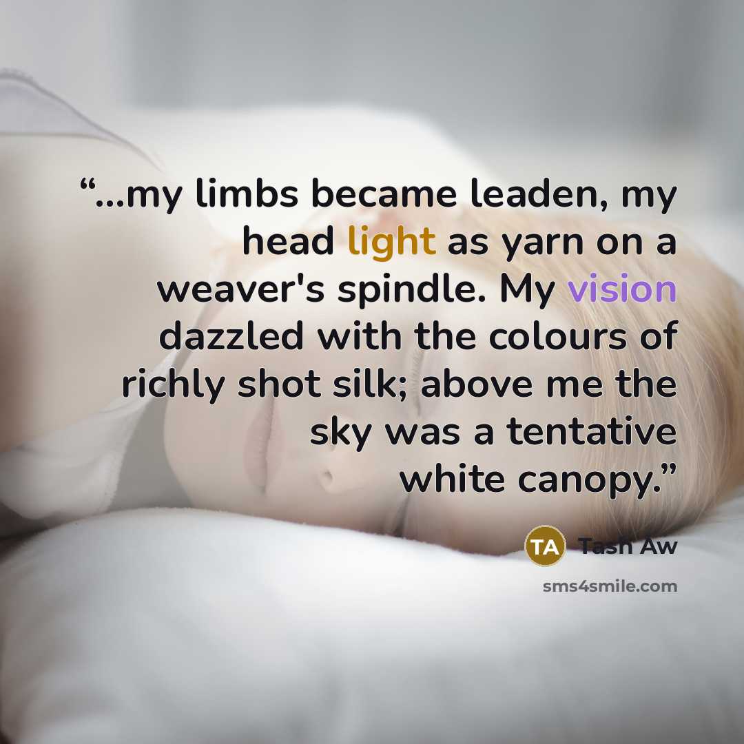 “...my limbs became leaden, my head light as yarn on a weaver's spindle. My vision dazzled with the colours of richly shot silk; above me the sky was a tentative white canopy.” quote by Tash Aw