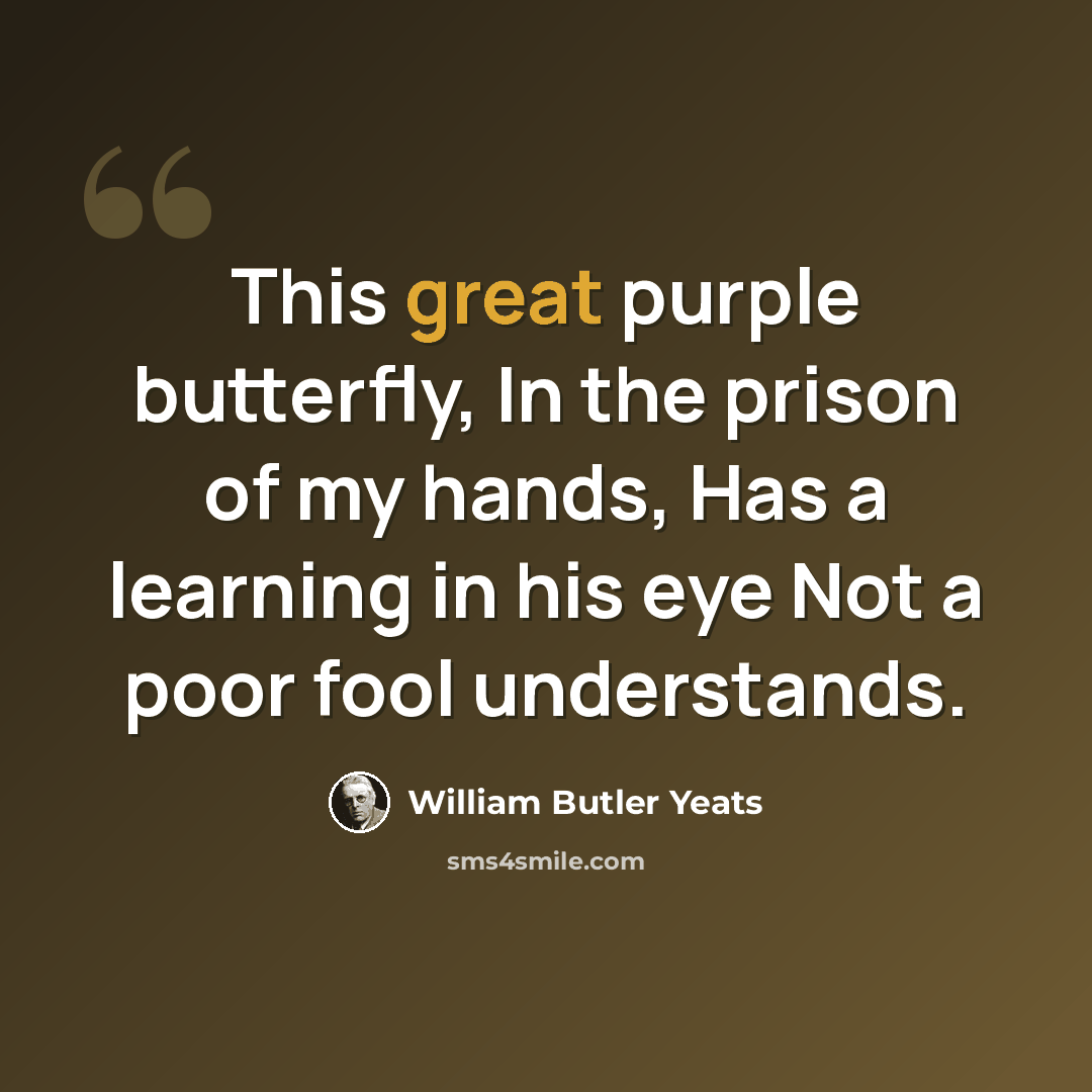 “This great purple butterfly, In the prison of my hands, Has a learning in his eye Not a poor fool understands.” quote by William Butler Yeats