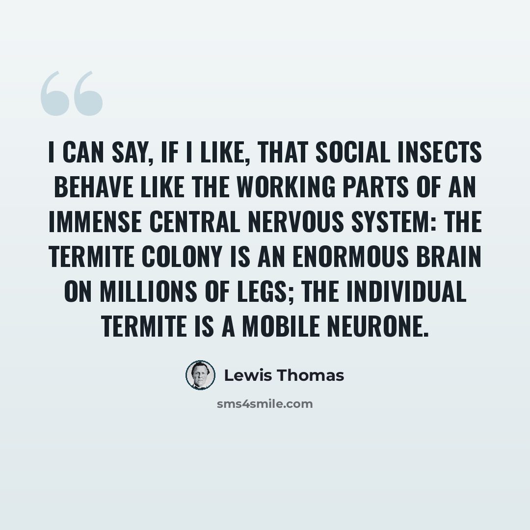 “I can say, if I like, that social insects behave like the working parts of an immense central nervous system: the termite colony is an enormous brain on millions of legs; the individual termite is a mobile neurone.” quote by Lewis Thomas